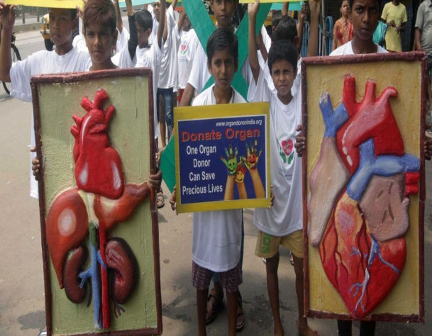 Building a cultural hall in Dhule