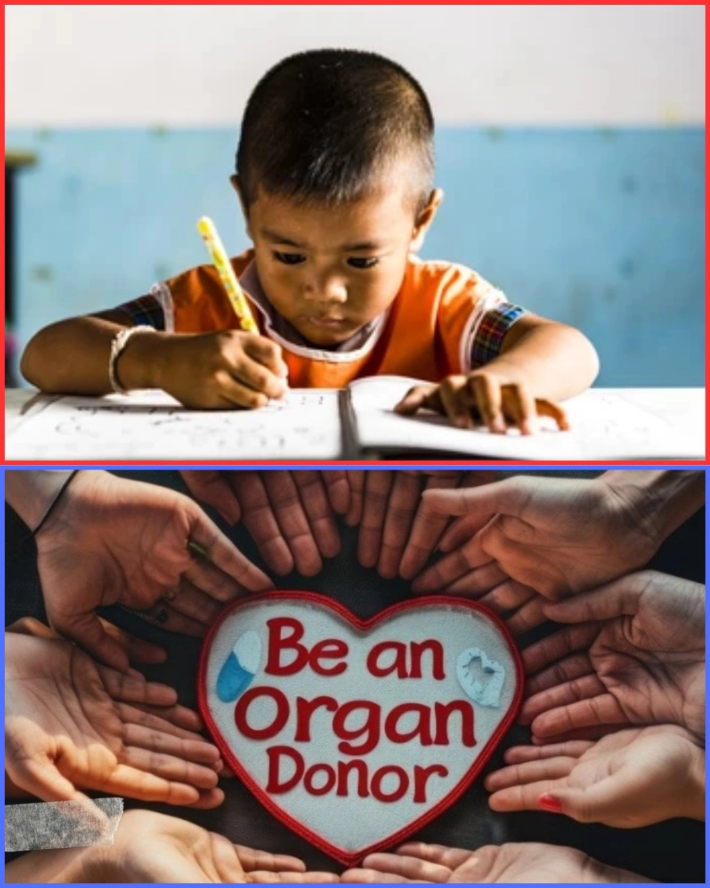 Donation Cause