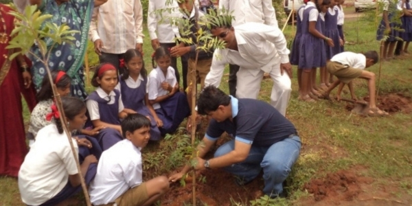 Tree Plantation