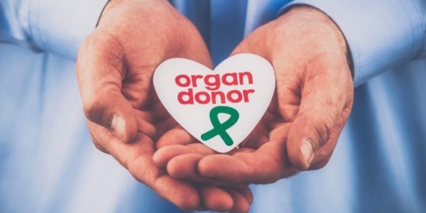 Pledge Drives